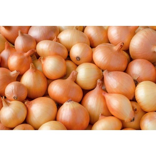 Onions, Brown, 20kg
