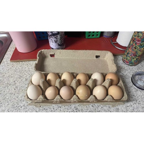 Eggs, Home Grown