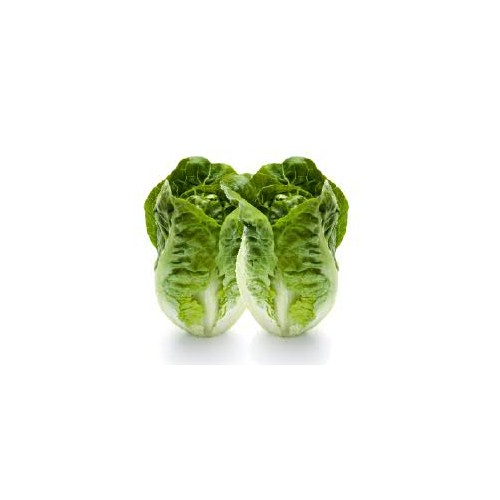 Lettuce, Baby Cos, twin pack